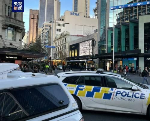 np肉视频