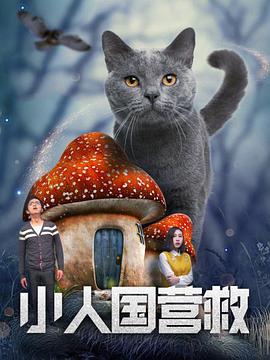 先锋资源站av