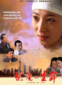啄木鸟平台