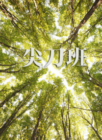 片免费高清电影网在线观看手机电视