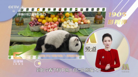 久草新视频